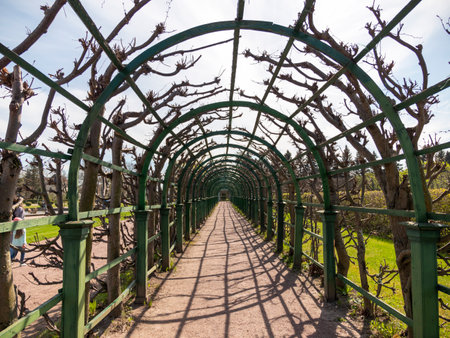 ST. PETERSBURG, RUSSIA, May 12, 2023: arch in the park Petergof or Peterhof, known as Petrodvorets from 1944 to 1997 .の写真素材