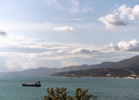 Wild beach on the coast of Kabardinka village, Russia, with cliffs, trees and natural scenery, showcasing untouched coastal landscape and seaside environment.の写真素材