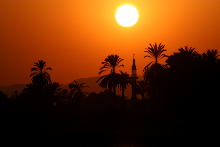 Sunset somewhere in the eastern worls (palm trees and a mosque with minaret as a silhouetts)の写真素材