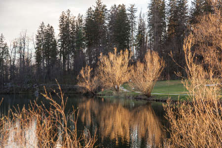 Lake in Preddvor, small town in northern Sloveniaの写真素材