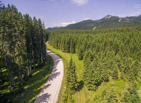 Road In Beautiful Mountain Valley Forest At Summerの写真素材