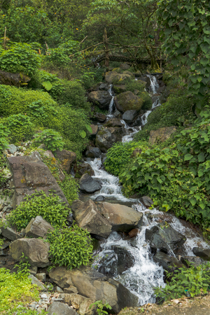 Wooden Bridge Over Forest Waterfall At Summerの写真素材