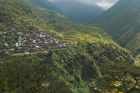 Beautiful rice terraces and Bayo Bayo Village in Philippines.の写真素材