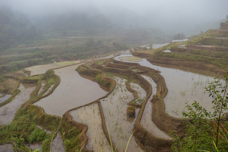 Stepped Of Rice Terraces In Banaue, Ifugao.の写真素材