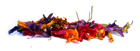 geranium, petunia, dry delicate flowers, leaves and petals of pressed, iris, orchid marigolds, Aquilegia pelargonium, isolated on white background scrapbookの写真素材