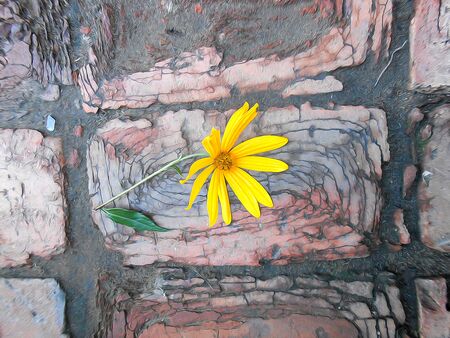 photo manipulation oil paint sunflower on cracked brick walkwayの写真素材