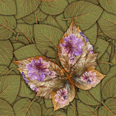 multicolor seamless background pattern texture made of butterflies of various flowers