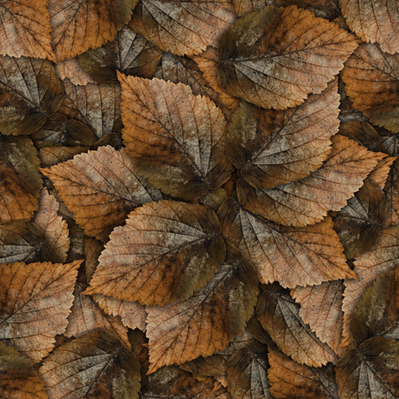 multicolor seamless background pattern texture made of butterflies of various flowersの写真素材