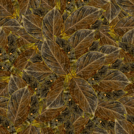 multicolor seamless background pattern texture made of various green leaves