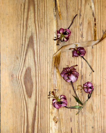 floral composition with dried wilted lilies flowers on old dark wooden table backgroundの写真素材