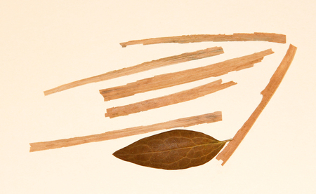 dried corn leaves arrow, roughage autumn fall leaf, wooden planks,の写真素材