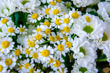 white bouquet of daisies and chrysanthemums wrapped in newsprint in a vase, crop