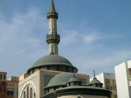 Mosque in Istanbulの素材