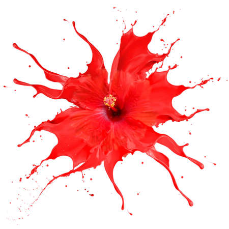 bright and shiny red flower with red splashes on white background very impresive creativityの写真素材