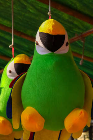 Parrot toys, bird toys parrotの写真素材