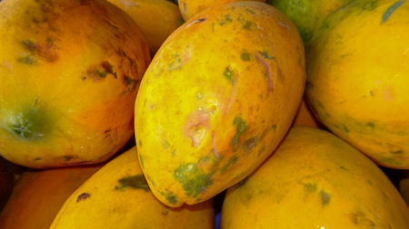 Papaya fruit close up on the market in SriLankaの写真素材