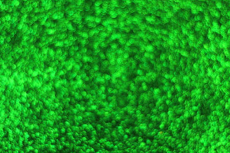 colored Backgroundsの写真素材