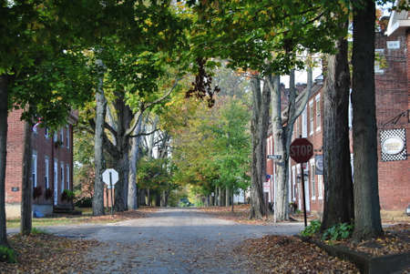 Autumnal Street