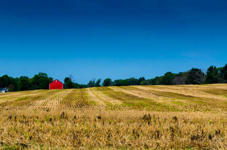 The Red Barnの写真素材