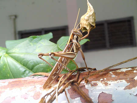 Are delicious to eatの写真素材