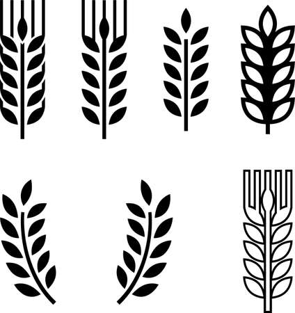 Wheat Ear Spica Icon Collection Vector Art Illustrationのイラスト素材