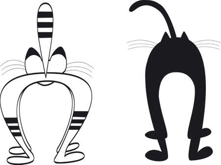 cat`s back, vector illustration, may be scaledのイラスト素材