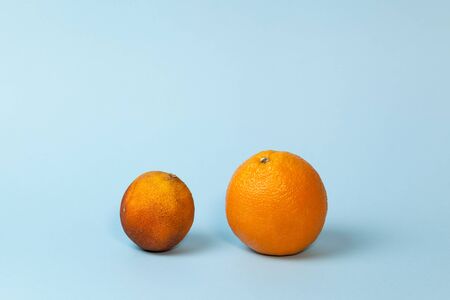Concept- Freshness and withering. Fresh and spoiled oranges on light blue background. Copy space.