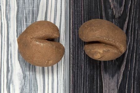 Ugly vegetables. Two funny potatoes on a black and white wooden background. Close-up.