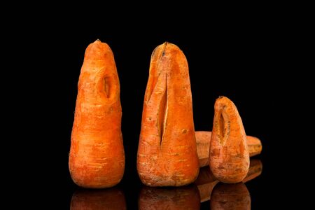 Strange shaped vegetables. Ugly carrots with unusual shapes and cracks are arranged in a row on a...