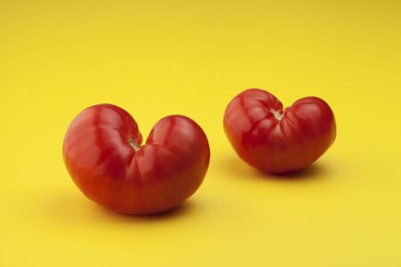 Ripe Tomatoes. Concept. A pair of ugly vegetables on a bright background.の写真素材