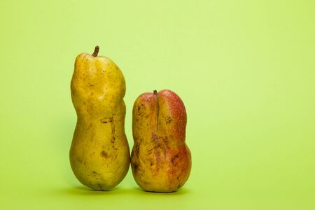 Fashionable ugly organic fruits - ripe pears on a green background with copy space for text. Horizontal orientation. Buying imperfect foods is a way to deal with food waste.の写真素材