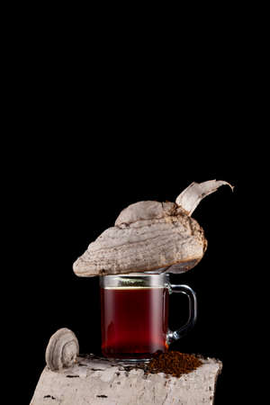 Medicinal tincture or natural tea made from birch chaga mushroom. Birch bark and black background with copy space. Selective focus.の写真素材