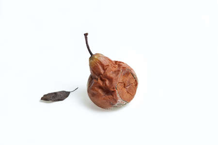 One rotten overripe pear with mold on a white background. Close-up, copy space. Concept - reduction...