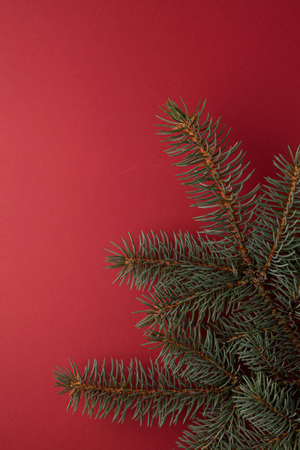 Spruce branch on a dark red background with copy space. Christmas composition.の写真素材