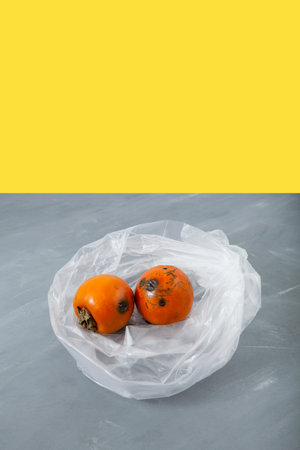 Rotten spoiled persimmon fruit in disposable plastic bag on a gray-yellow background with space for text. Improper food storage. Concept - reduction of organic waste.の写真素材