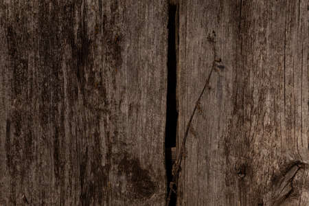 Old textured dark wood surface with cracks, knots, rusty nail. Fragment of fence or natural background of larch planks.の写真素材