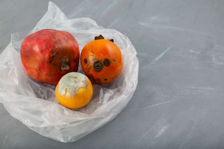 Organic food waste. Rotten fruits (pomegranate, persimmon, orange) in biodegradable plastic bag on gray background with copy space.の写真素材