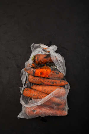 Rotten spoiled carrots in plastic bag. Ugly moldy vegetable. Top view, selective focus. Improper...
