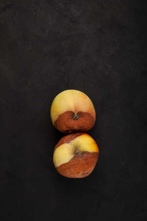 Two rotten spoiled apples. Dark textured background, copy space. Improper food storage. Concept - reduction of organic waste.の写真素材