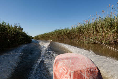 Fishing motorboat sails along channel among the reeds. Trail on water surface.の写真素材