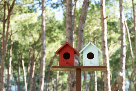 Two wooden birdhouses on stand in the park with blurred foliage in the background.の写真素材