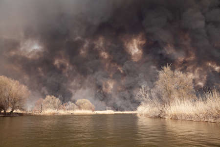 Large fire on banks of River. View from water. Fire mercilessly destroys flora and fauna. Disaster. Black dense smoke and ash from burning reeds rises high into sky.の写真素材