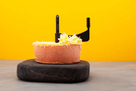 Swiss semi-hard cheese TÃªte de Moine cutted on girolle. Selective focus, copy space.の写真素材