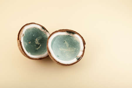 Moldy spoiled coconut. Improper food storage. Concept - Reduction of organic waste.