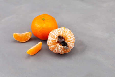 Rotten spoiled mandarin or tangerine. Moldy fruits on gray background. Concept - Improper food...