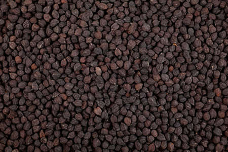 Black chickpeas, close-up. Design element, food background. Black chickpeas contain plenty of antioxidants, magnesium and folic acid.の写真素材