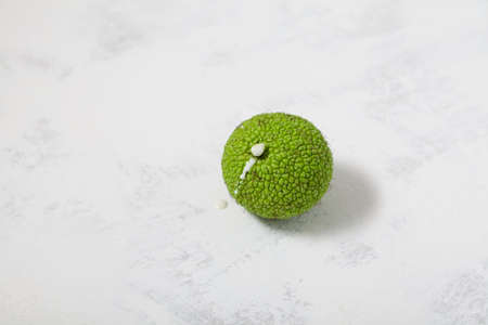 Maclura pomifera fruit on light gray background, selective focus. Maclura fruit or Adam's apple used...