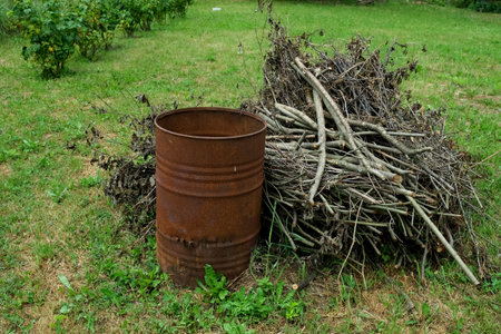 Rusty metal barrel and pile of firewood. Primitive device for heating and burning organic garden...