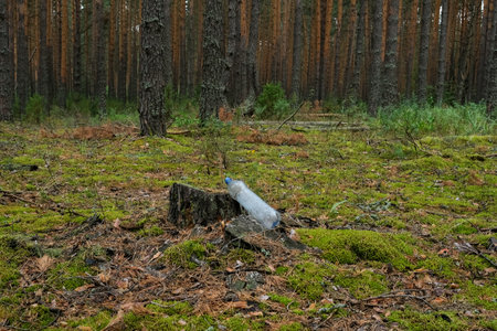 An abandoned disposable plastic bottle near the stump. Plastic garbage in the forest. Environmental problems, deforestation, environmental pollution.の写真素材