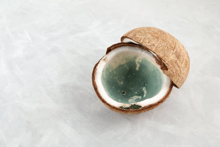 Moldy spoiled coconut on gray background. Concept - Improper food storage. Reduction of organic waste. Ugly coco fruit.の写真素材